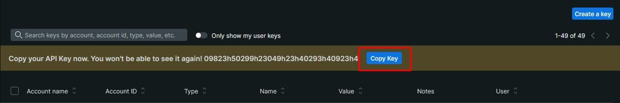 Copy API Key