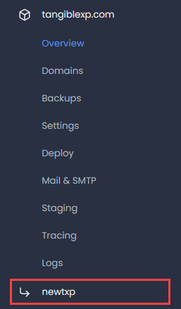 Access a staging environment panel